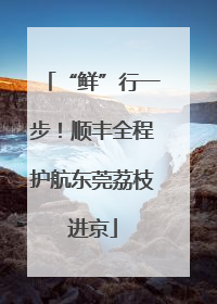 “鲜”行一步！顺丰全程护航东莞荔枝进京