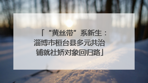 “黄丝带”系新生：淄博市桓台县多元共治铺就社矫对象回归路