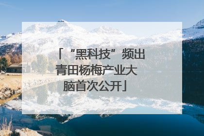 “黑科技”频出 青田杨梅产业大脑首次公开