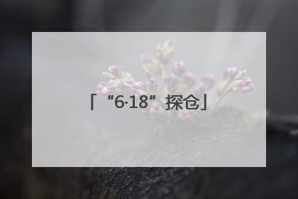 “6·18”探仓
