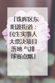 珠晖区东阳渡街道：民生实事人大票决项目落地 气排球赛点燃