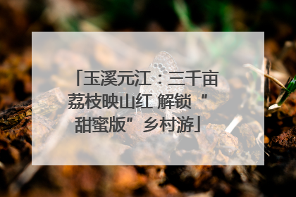 玉溪元江：三千亩荔枝映山红 解锁“甜蜜版”乡村游