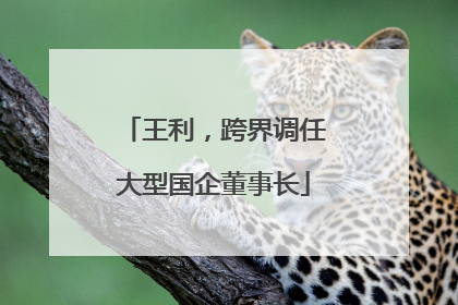 王利，跨界调任大型国企董事长
