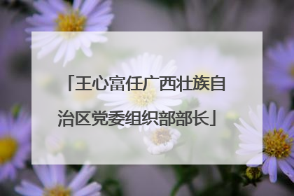 王心富任广西壮族自治区党委组织部部长