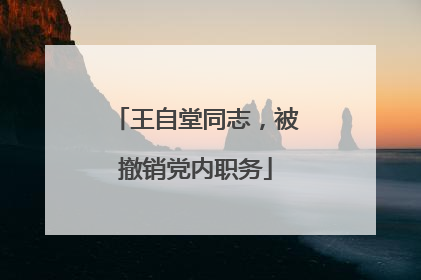 王自堂同志，被撤销党内职务