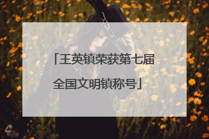 王英镇荣获第七届全国文明镇称号