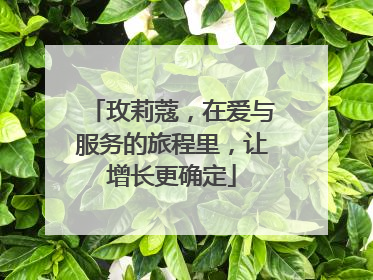 玫莉蔻，在爱与服务的旅程里，让增长更确定