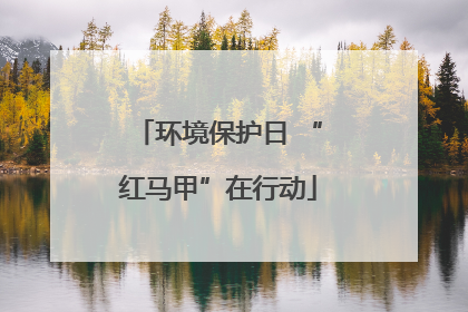 环境保护日 “红马甲”在行动