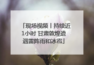 现场视频丨持续近1小时 甘肃敦煌遭遇雷阵雨和冰雹