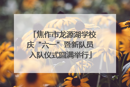 焦作市龙源湖学校庆“六一”暨新队员入队仪式圆满举行