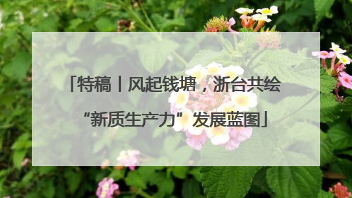 特稿丨风起钱塘，浙台共绘“新质生产力”发展蓝图