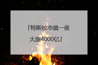 特斯拉市值一夜大涨4000亿