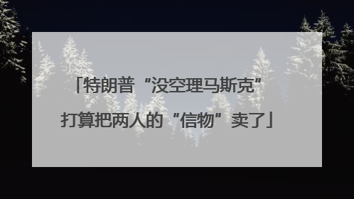 特朗普“没空理马斯克” 打算把两人的“信物”卖了