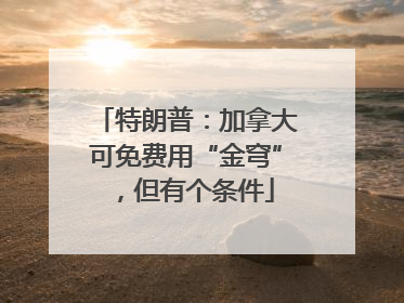 特朗普：加拿大可免费用“金穹”，但有个条件