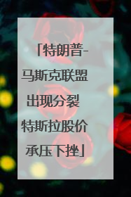 特朗普-马斯克联盟出现分裂 特斯拉股价承压下挫