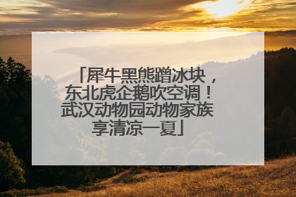 犀牛黑熊蹭冰块，东北虎企鹅吹空调！武汉动物园动物家族享清凉一夏