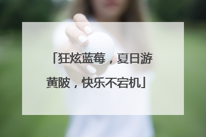 狂炫蓝莓，夏日游黄陂，快乐不宕机