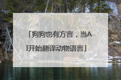 狗狗也有方言，当AI开始翻译动物语言