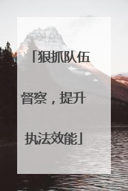 狠抓队伍督察，提升执法效能