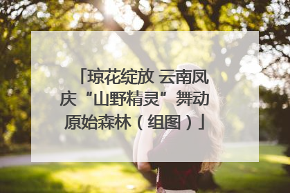 琼花绽放 云南凤庆“山野精灵”舞动原始森林（组图）