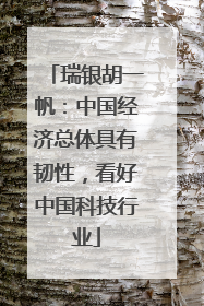 瑞银胡一帆：中国经济总体具有韧性，看好中国科技行业