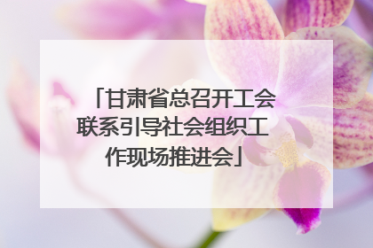 甘肃省总召开工会联系引导社会组织工作现场推进会