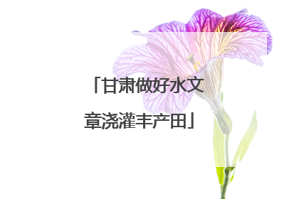 甘肃做好水文章浇灌丰产田