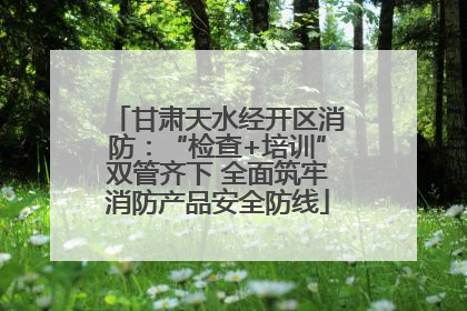 甘肃天水经开区消防：“检查+培训”双管齐下 全面筑牢消防产品安全防线