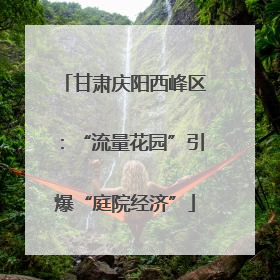 甘肃庆阳西峰区：“流量花园”引爆“庭院经济”