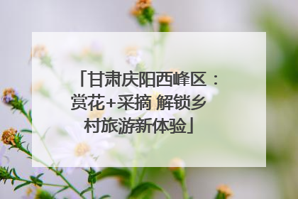 甘肃庆阳西峰区：赏花+采摘 解锁乡村旅游新体验