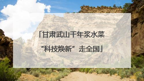 甘肃武山千年浆水菜“科技焕新”走全国