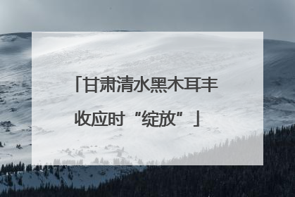 甘肃清水黑木耳丰收应时“绽放”
