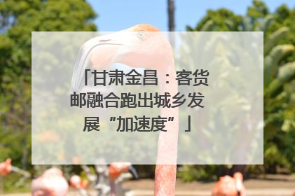 甘肃金昌：客货邮融合跑出城乡发展“加速度”