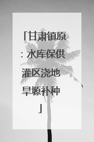 甘肃镇原：水库保供 灌区浇地 旱塬补种