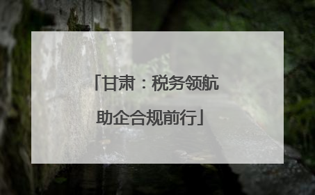 甘肃：税务领航 助企合规前行