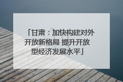 甘肃：加快构建对外开放新格局 提升开放型经济发展水平