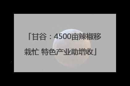 甘谷：4500亩辣椒移栽忙 特色产业助增收