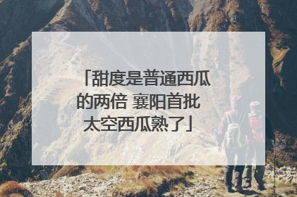 甜度是普通西瓜的两倍 襄阳首批太空西瓜熟了