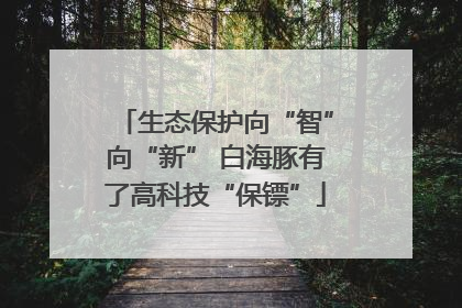 生态保护向“智”向“新” 白海豚有了高科技“保镖”