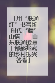 用“联通红”书写新时代“疆”山情——山东联通援疆干部郝兆武的乡村振兴答卷