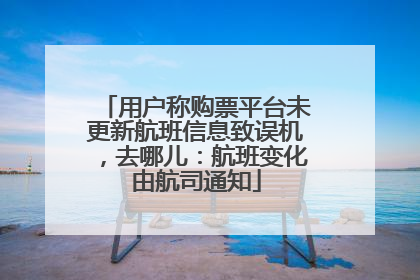 用户称购票平台未更新航班信息致误机，去哪儿：航班变化由航司通知
