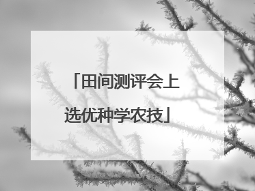 田间测评会上选优种学农技