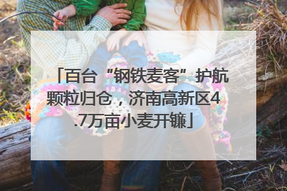 百台“钢铁麦客”护航颗粒归仓，济南高新区4.7万亩小麦开镰