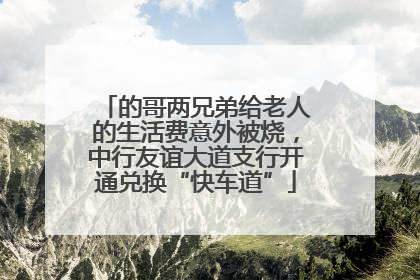 的哥两兄弟给老人的生活费意外被烧，中行友谊大道支行开通兑换“快车道”