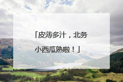 皮薄多汁，北务小西瓜熟啦！