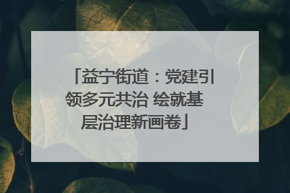 益宁街道：党建引领多元共治 绘就基层治理新画卷