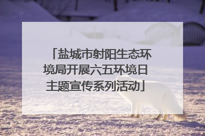 盐城市射阳生态环境局开展六五环境日主题宣传系列活动