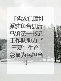 省农信联社派驻鱼台县唐马镇第一书记工作队助力“三夏”生产 彰显为民担当