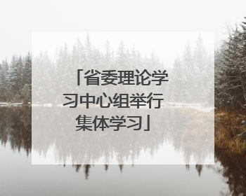 省委理论学习中心组举行集体学习