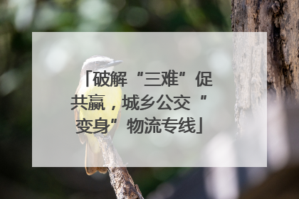 破解“三难”促共赢，城乡公交“变身”物流专线